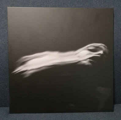 Dir en grey - Ochitagoto no arusora 落ちた事のある空 Fanclub Vers. Front Cover